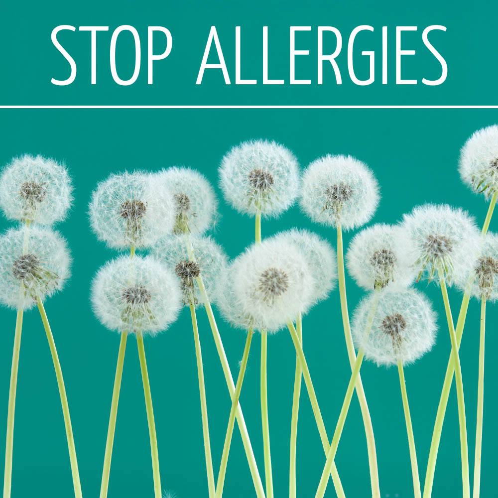 Création de contenu facebook : stop allergies