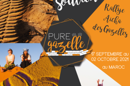 Flyer Pure Gazelle A5